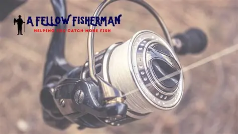 Top virtual casinos in Canada